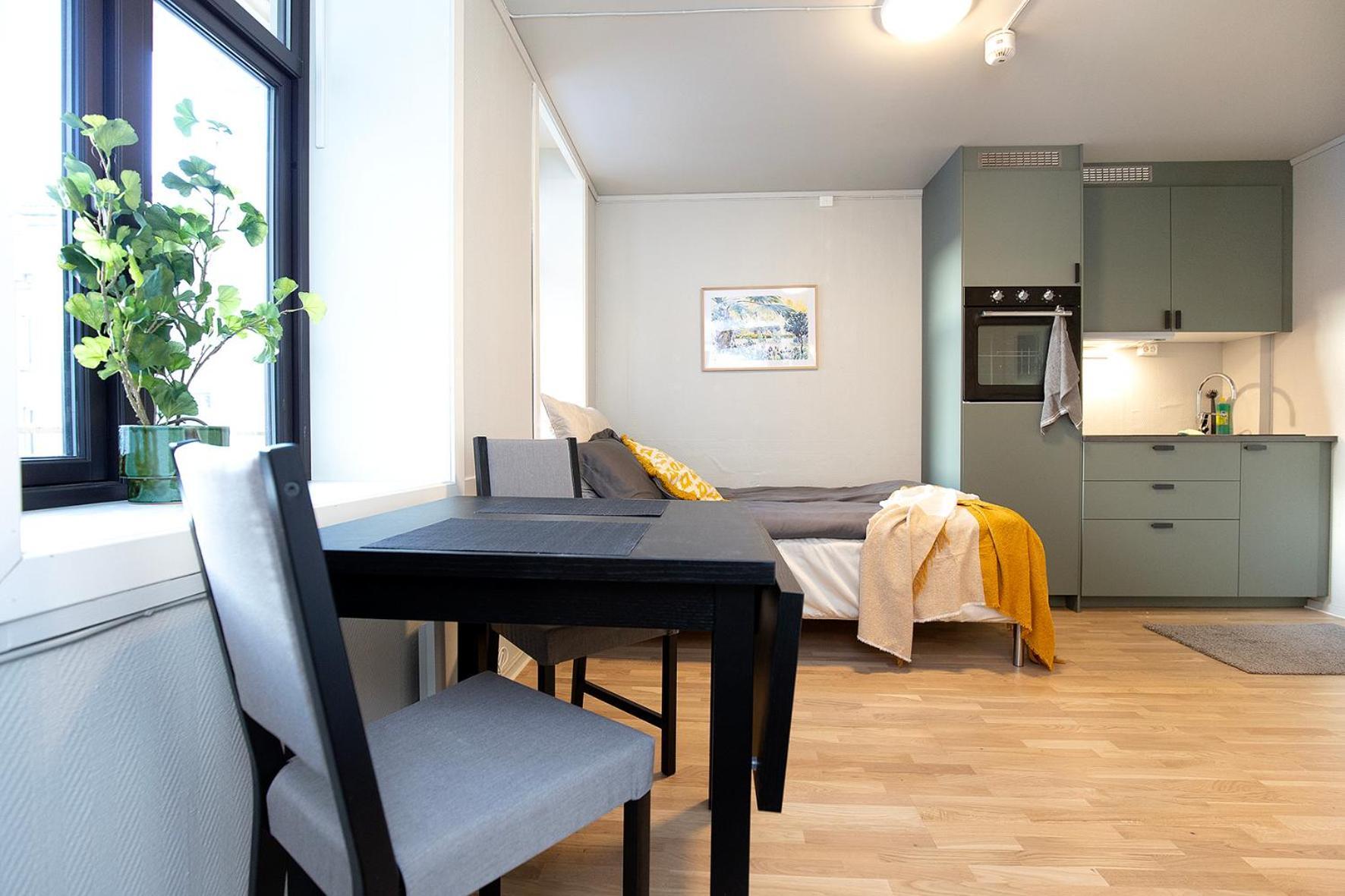 Sentrumsnaer Studioleilighet! Apartment *